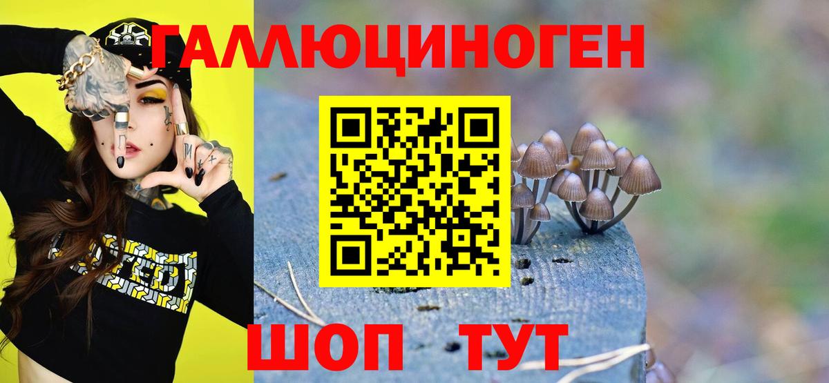 Галлюциногенные грибы MAGIC MUSHROOMS  Псилоцибиновые грибы Cubensis  Вход с VPN  Новодвинск 